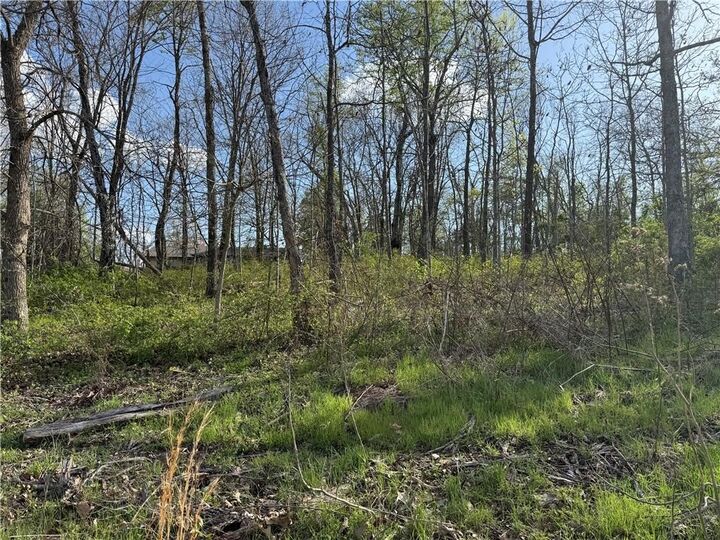 Property Photo: Lot 7 & 8 Dunkeld Drive AR 72715