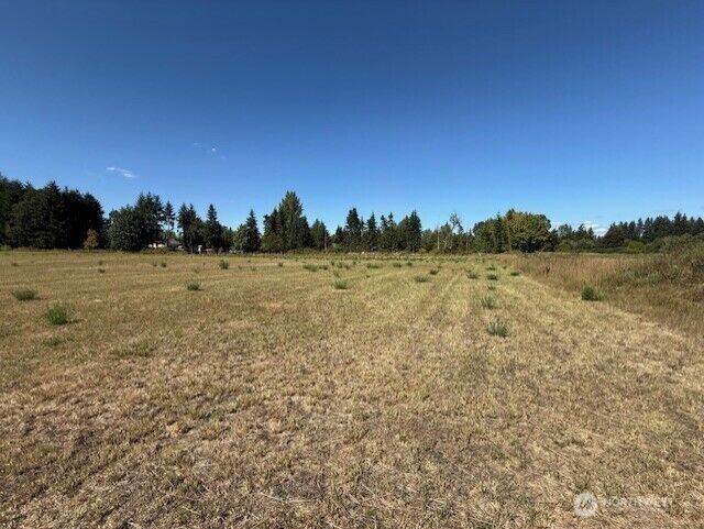 Property Photo: 127 Anglers Lane WA 98532