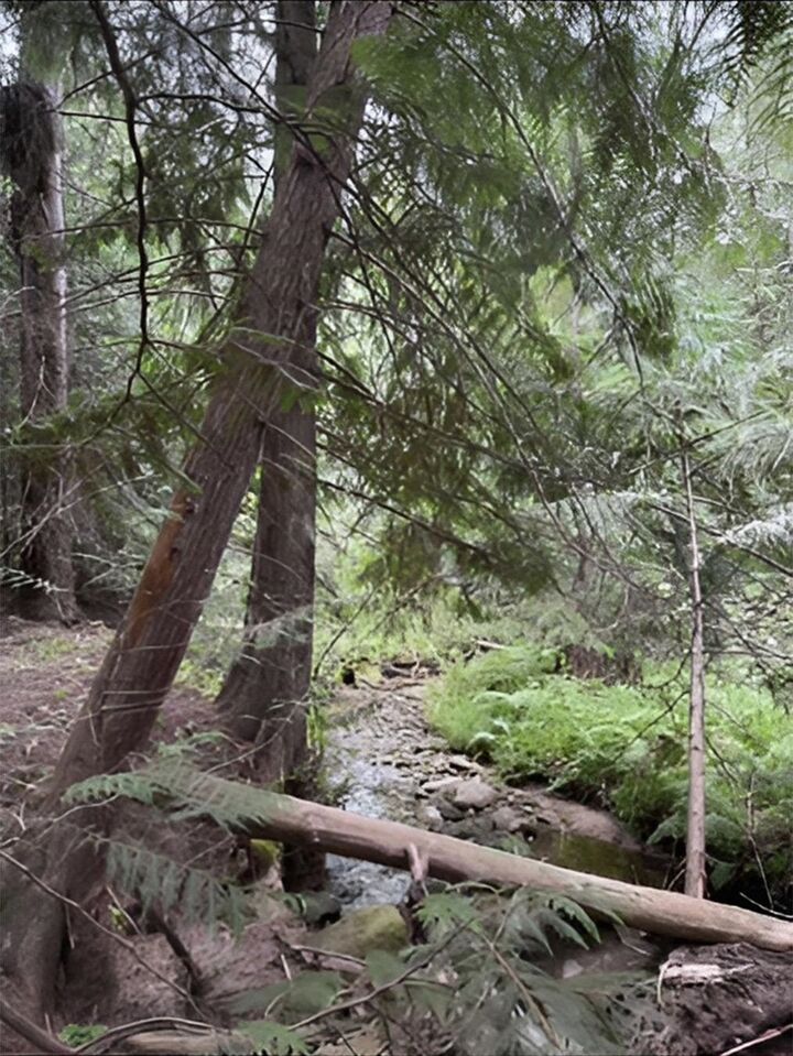 34xxx N Blanchard Creek Rd  Newport WA 99156 photo