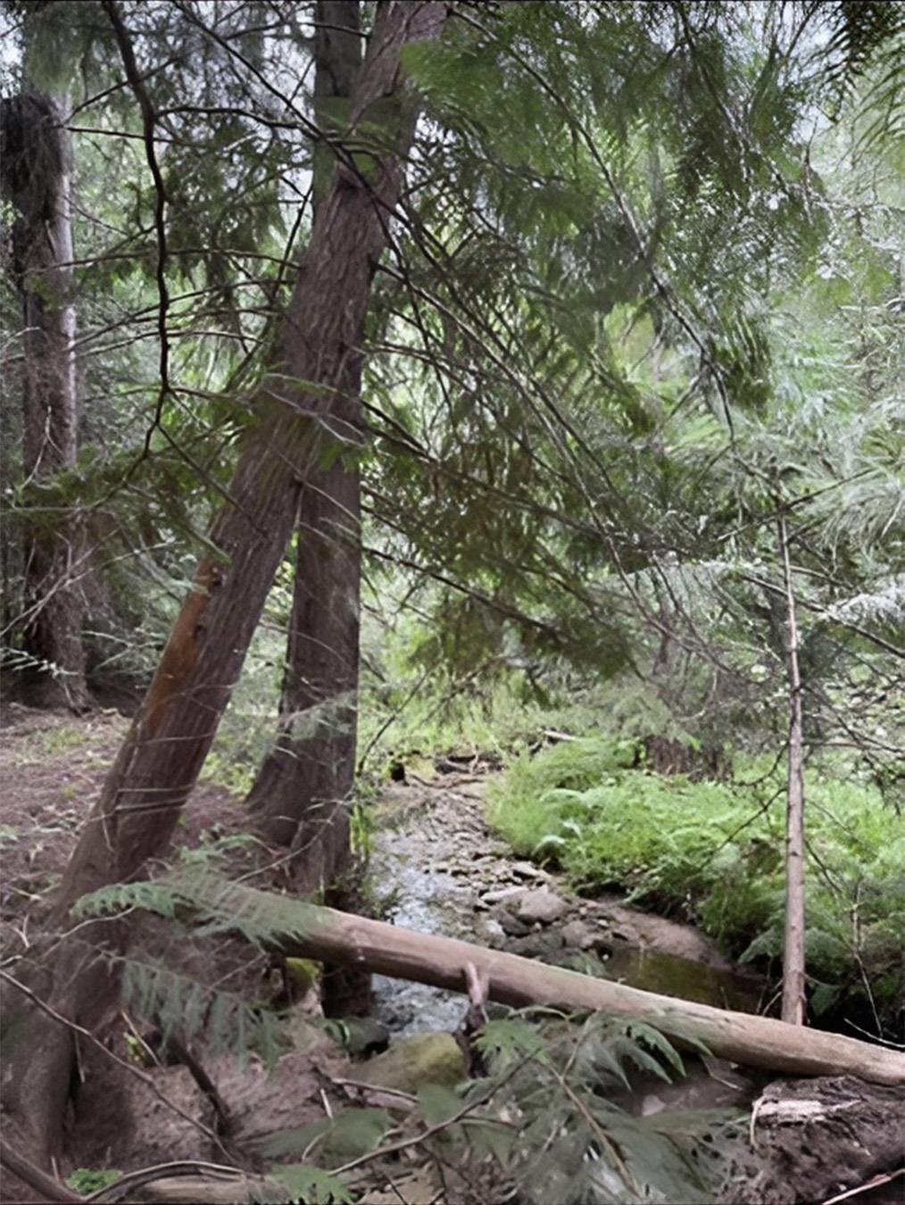 Property Photo: 34xxx N Blanchard Creek Rd WA 99156