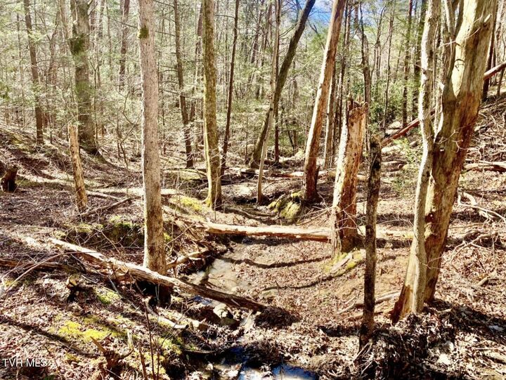 Property Photo: 2295 Kelley Gap Road TN 37743