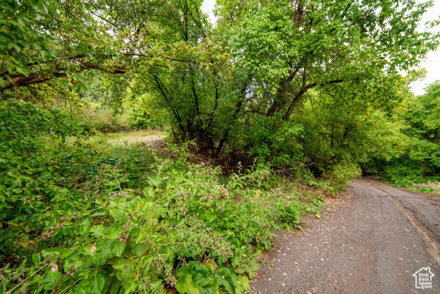 Property Photo:  1422 Basel Dr 115  UT 84049 
