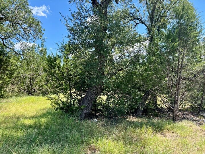 Property Photo:  307 Highland Spring Lane  TX 78633 