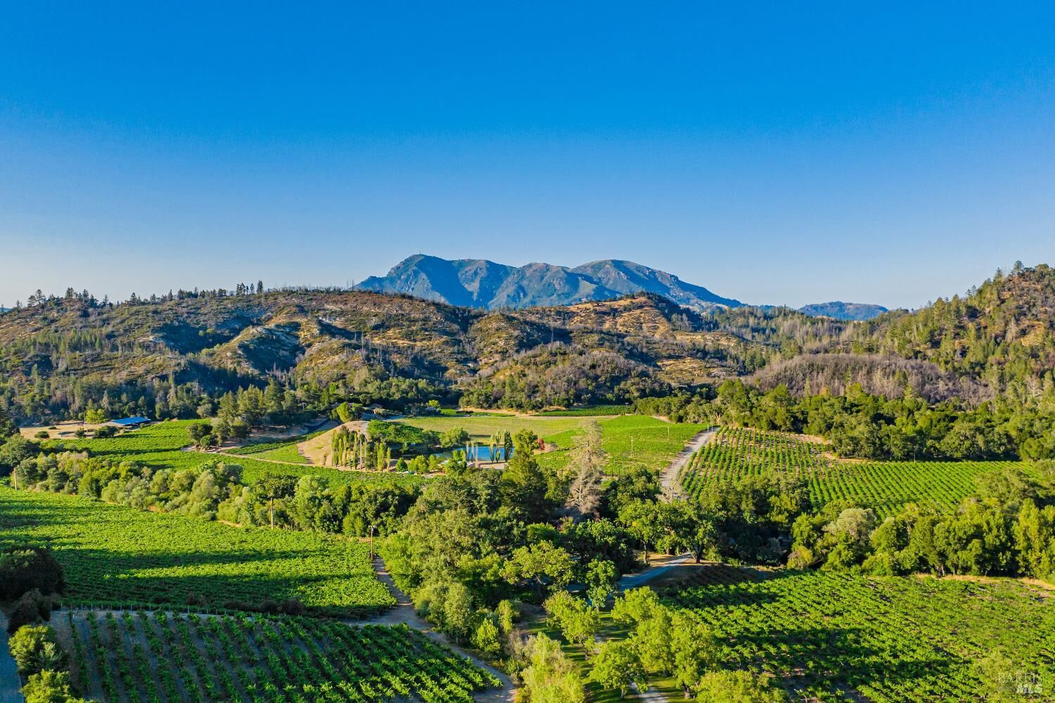 Property Photo: 8320 Franz Valley Road CA 94515