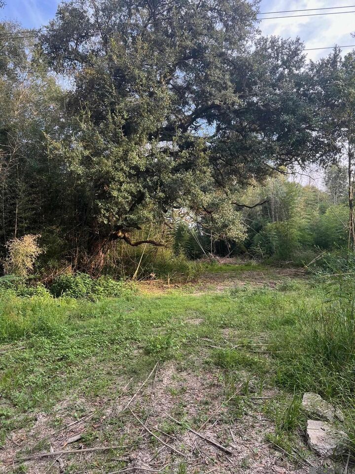 Property Photo: A2a3 Greenwell Springs Rd LA 70739
