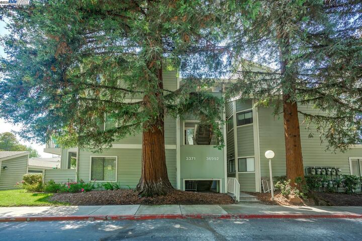 Property Photo: 3371 Baywood Terrace 214 CA 94536