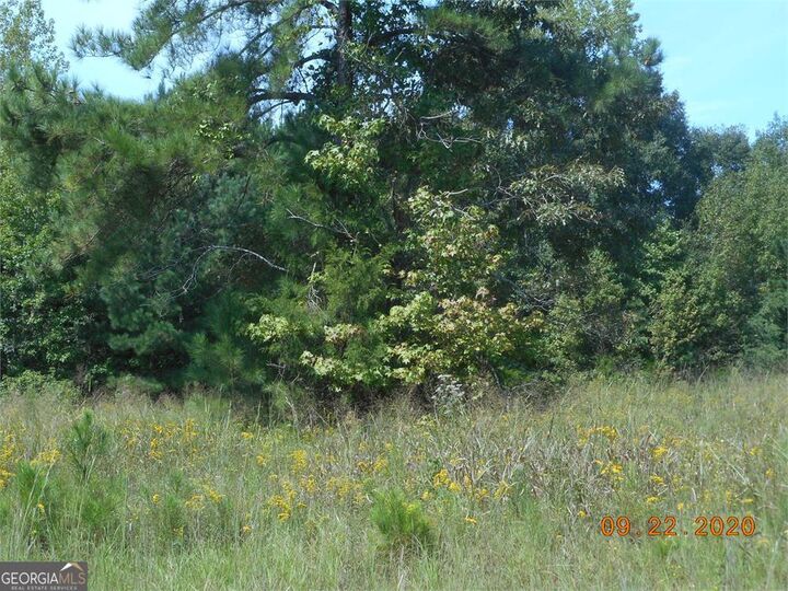 0 Cunningham Road  Greensboro GA 30642 photo