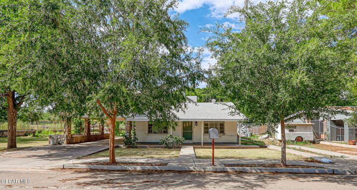 261 Tulane Drive Drive  El Paso TX 79907 photo