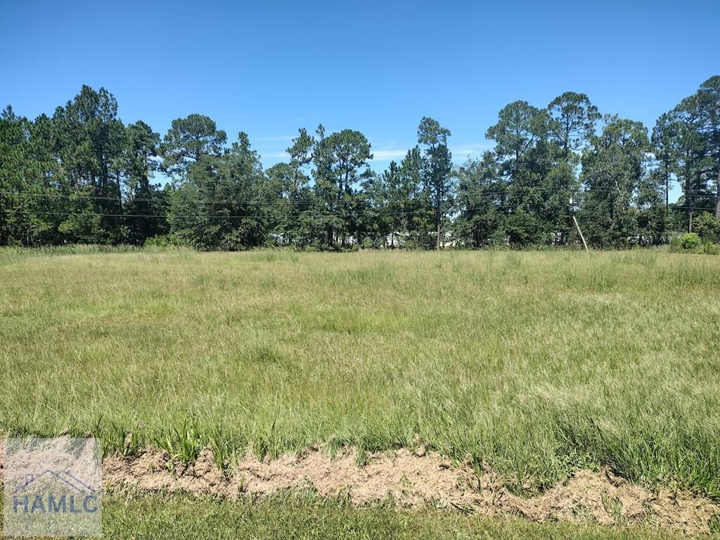 Property Photo: 951 Elma G Miles Pkwy GA 31313