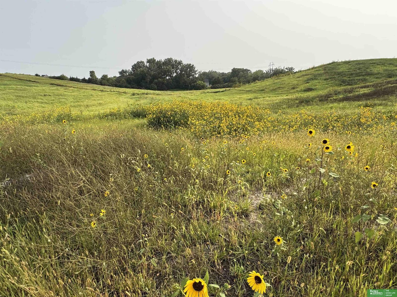 Property Photo: 22611 Copper Ridge Road NE 68028