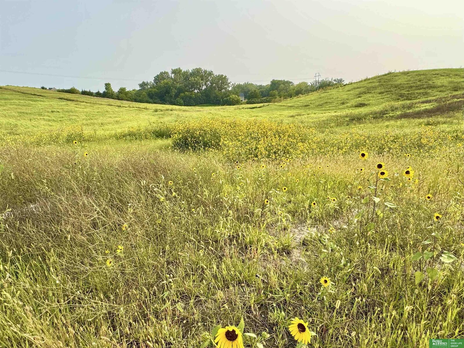 Property Photo:  22611 Copper Ridge Road  NE 68028 