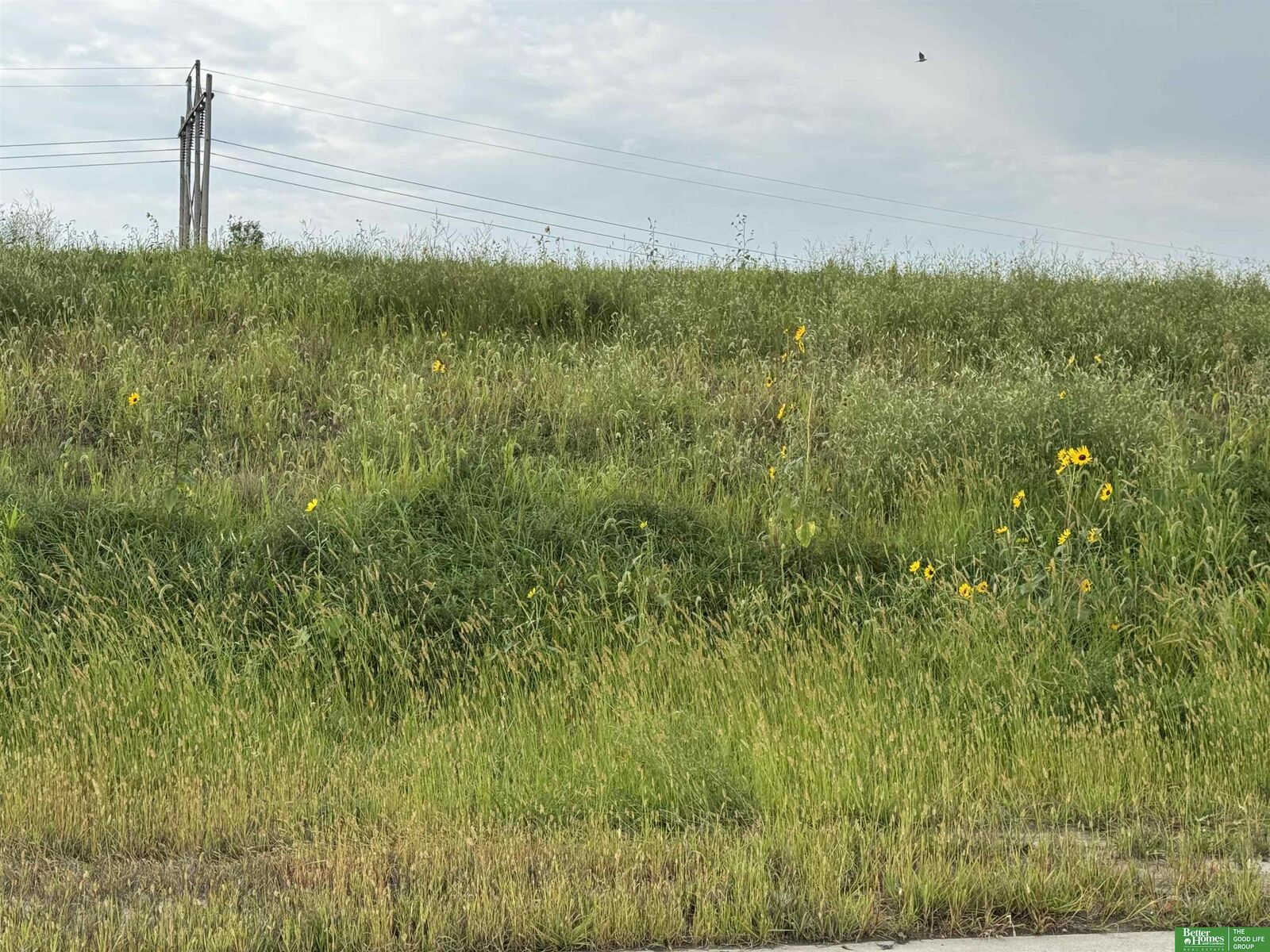 Property Photo:  22801 Quarry Lane  NE 68028 