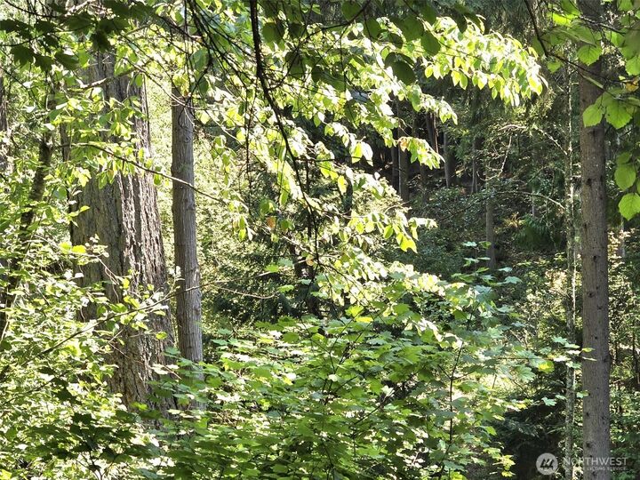 Property Photo:  21815  Beachside Drive SE  WA 98597 