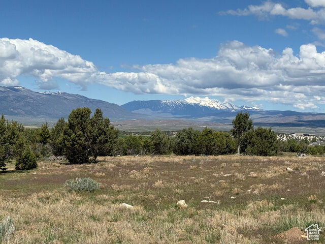 Unknown  Spring City UT 84662 photo