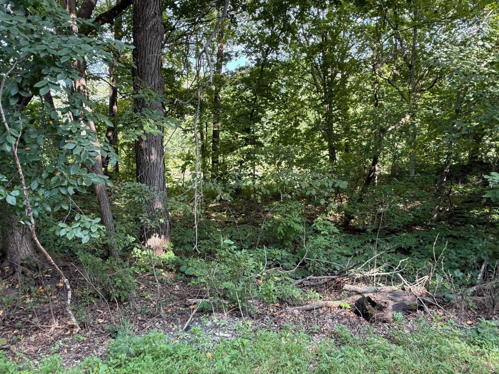 Property Photo: 38388 512th St MN 56003