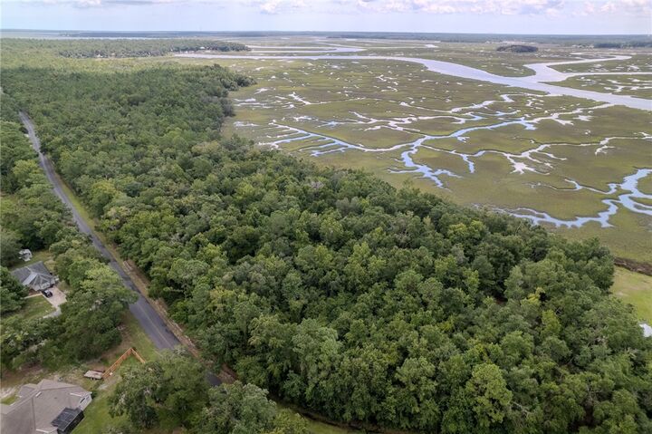Property Photo: 0 Sheffield Island Road GA 31569