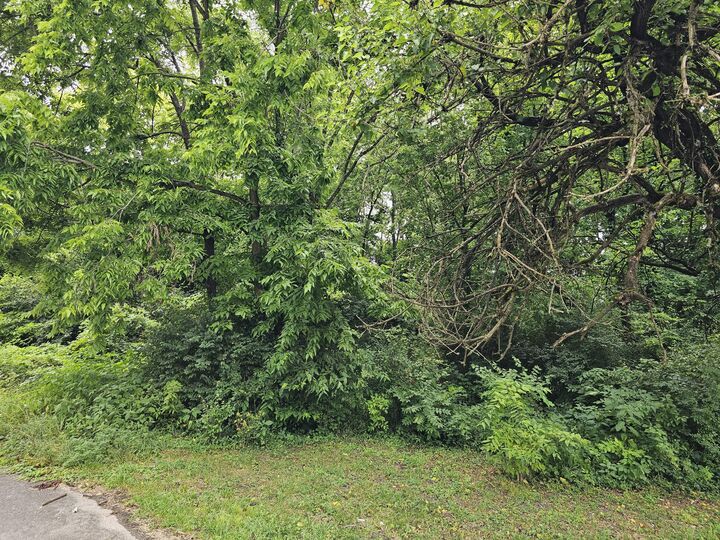 Property Photo: 538 Lincoln Street KY 40342