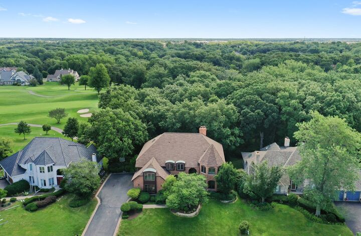14701 Crystal Tree Drive  Orland Park IL 60462 photo