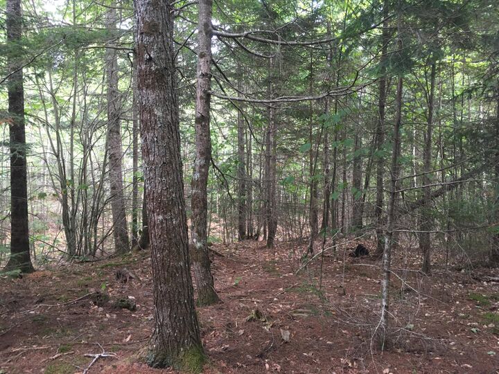 Property Photo: B-2backlot Pioneer Path ME 04605