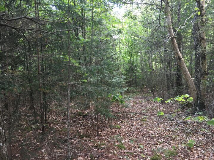Property Photo:  B-2backlot Pioneer Path  ME 04605 