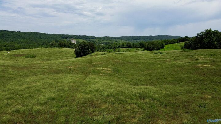 Property Photo:  185 Acres Carnes Chapel Road  AL 35954 