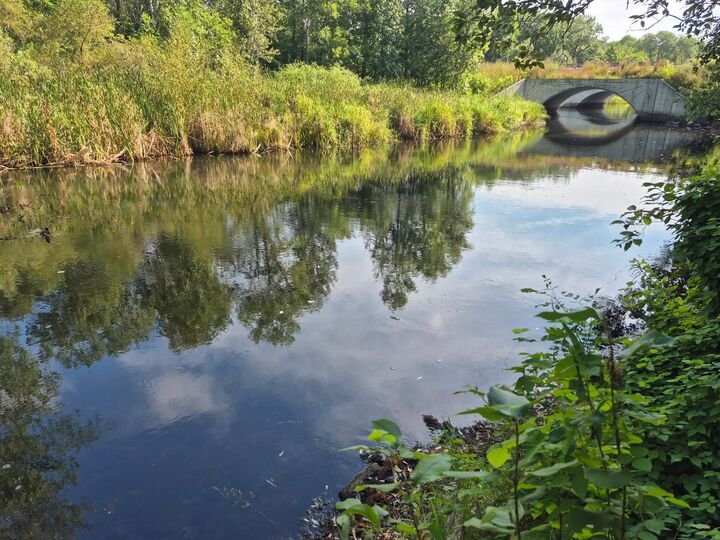 Property Photo:  Xxx State Hwy 169  MN 56359 