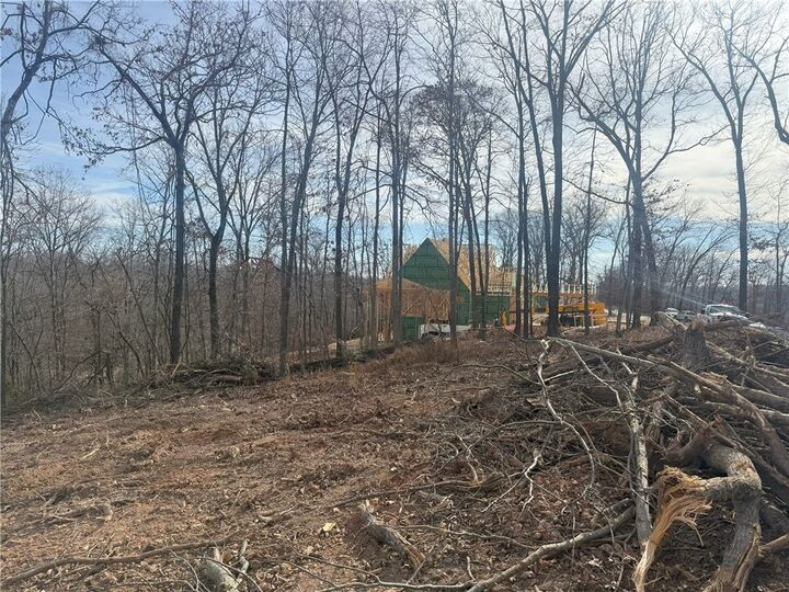 Property Photo:  Lot 10 Hawks Nest  AR 72756 
