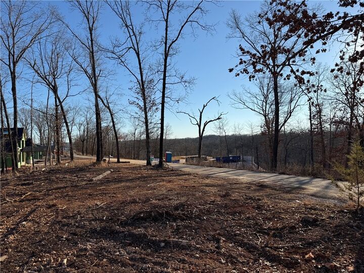 Property Photo:  Lot 10 Hawks Nest  AR 72756 