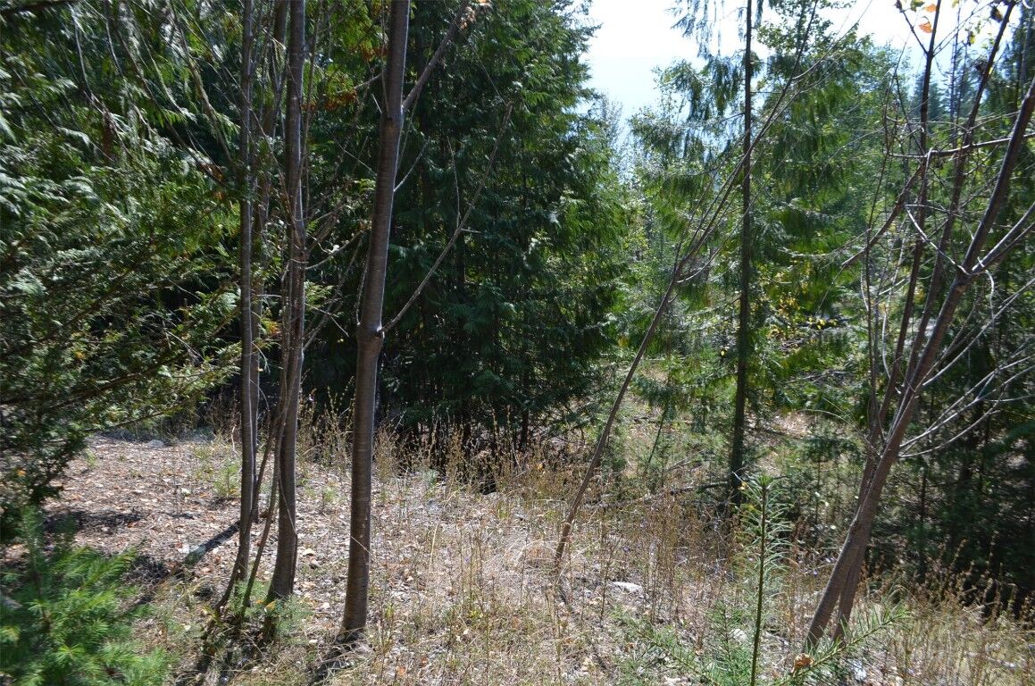 Property Photo:  Fraser Road  BC V0E 1M8 