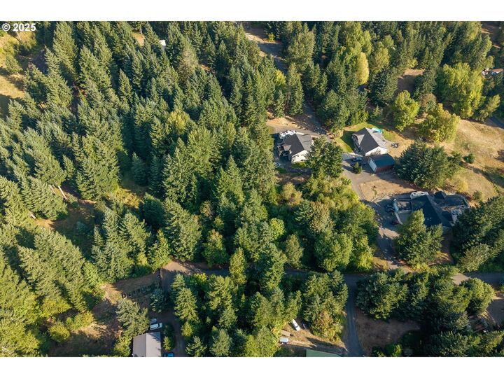 Property Photo:  Venado Trail Rd  WA 98648 