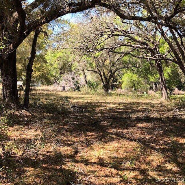 Property Photo: 2001 N Hwy 41 Highway FL 34453