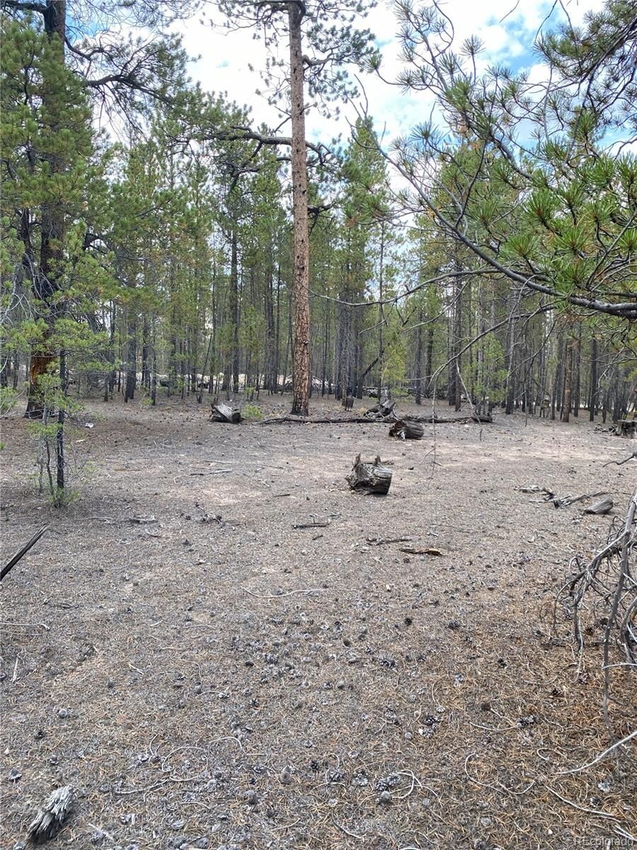 Property Photo: 340 Peak View Drive CO 80461