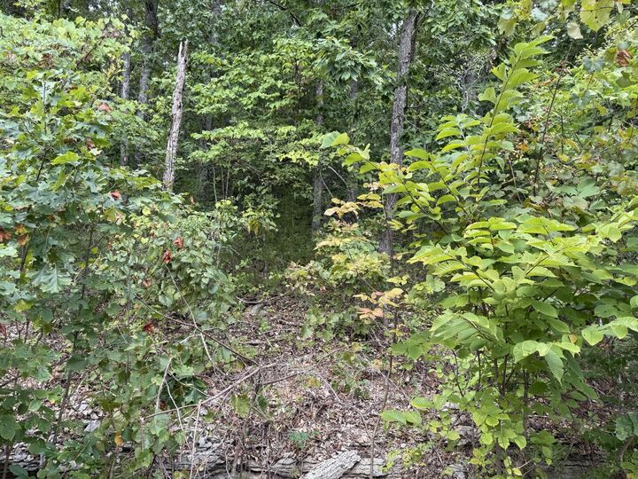 Property Photo:  Tbd Skylee Drive  MO 65672 