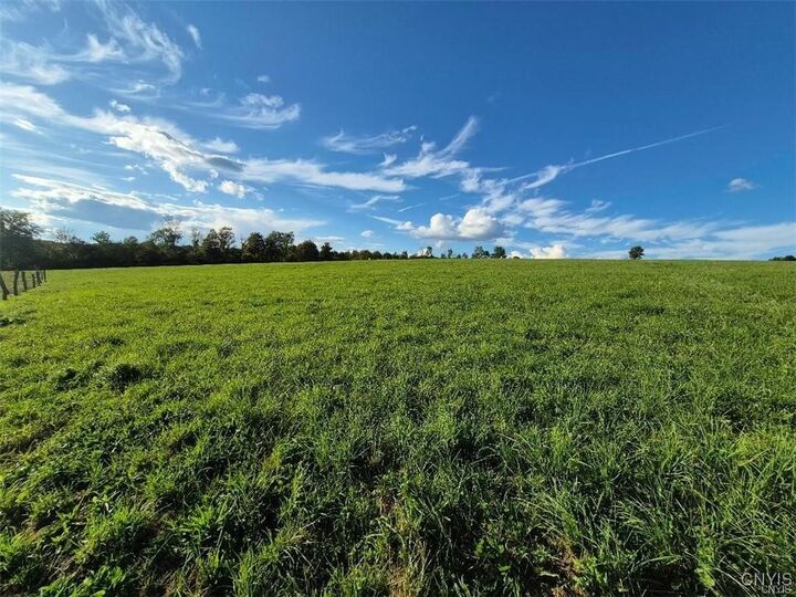 Property Photo:  2918 State Route 41  NY 13040 