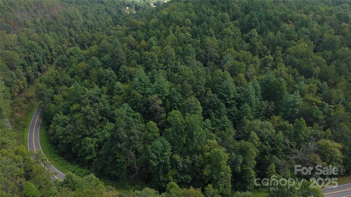 Property Photo: Off Lavender Road NC 28762