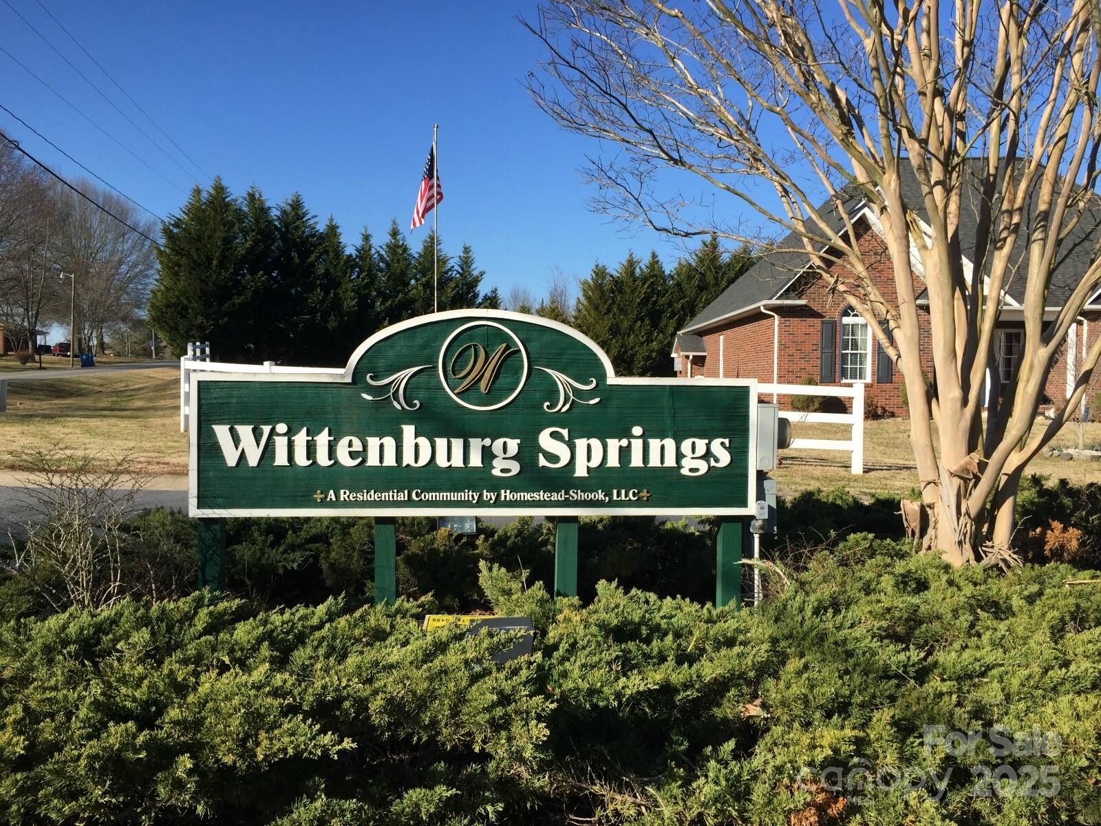 Property Photo:  Lot 33 Wittenburg Springs Drive 33  NC 28681 