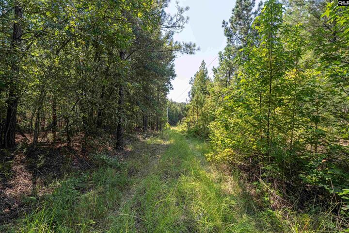 Property Photo:  S S Toms Creek  SC 29061 
