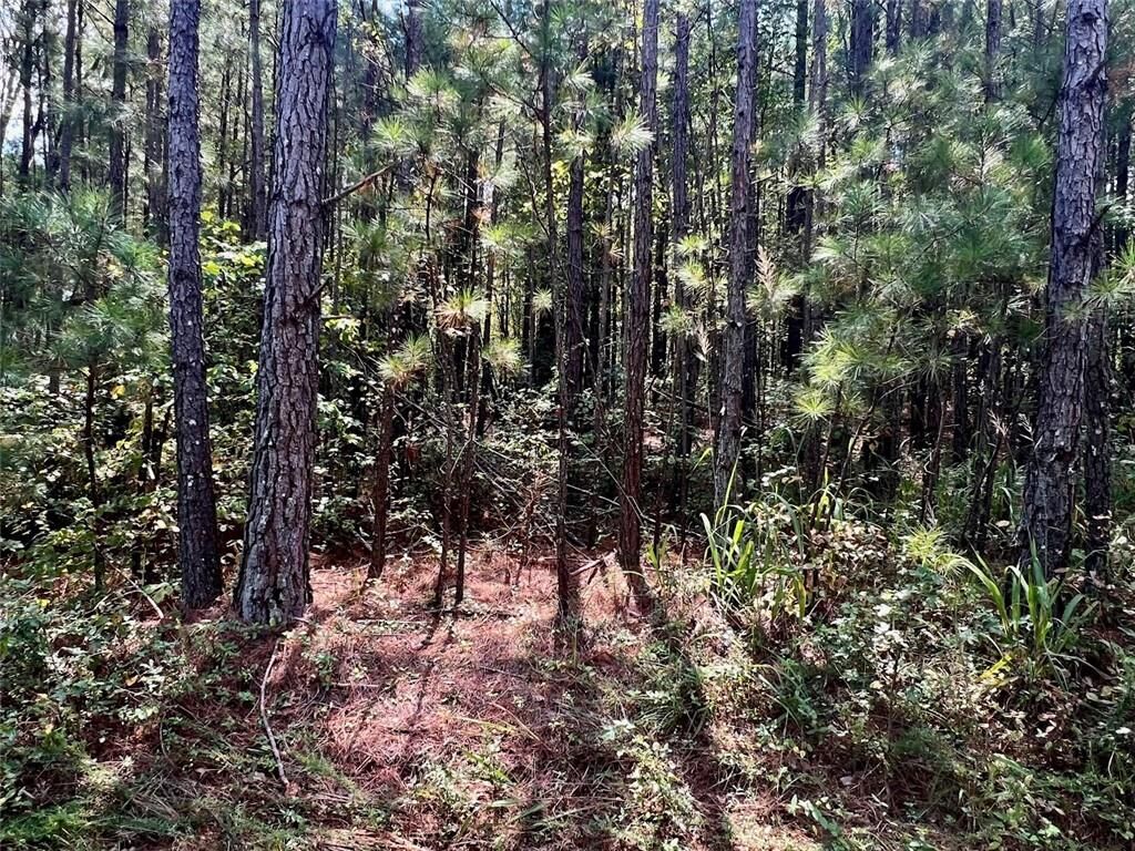 Property Photo: 1150 Denton Road GA 30134