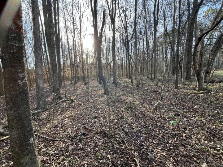 Property Photo: 39 Acres Quinton Road GA 30740