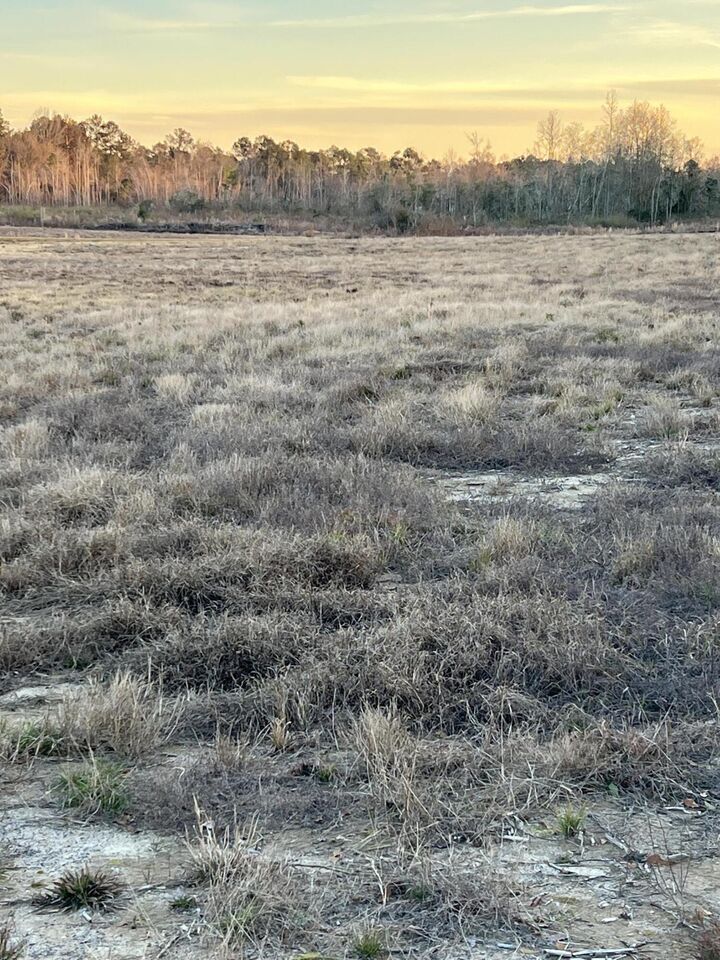 Property Photo: Lt 8 1 Acr Patton Creek Rd. MS 39367