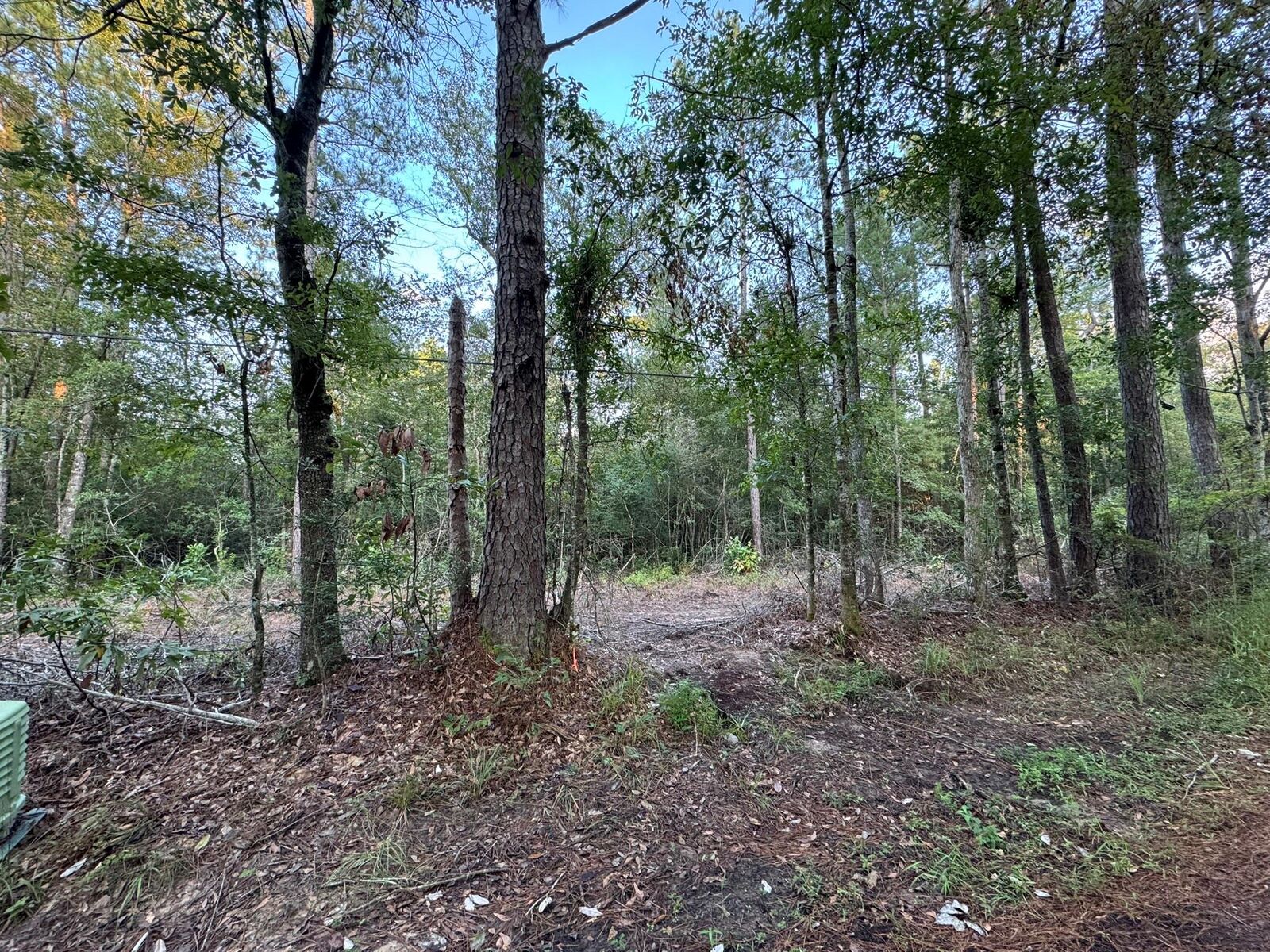 Property Photo:  730 Cr 459  TX 75956 
