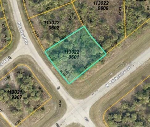 Property Photo: Lot 1 Blueleaf Drive FL 34288