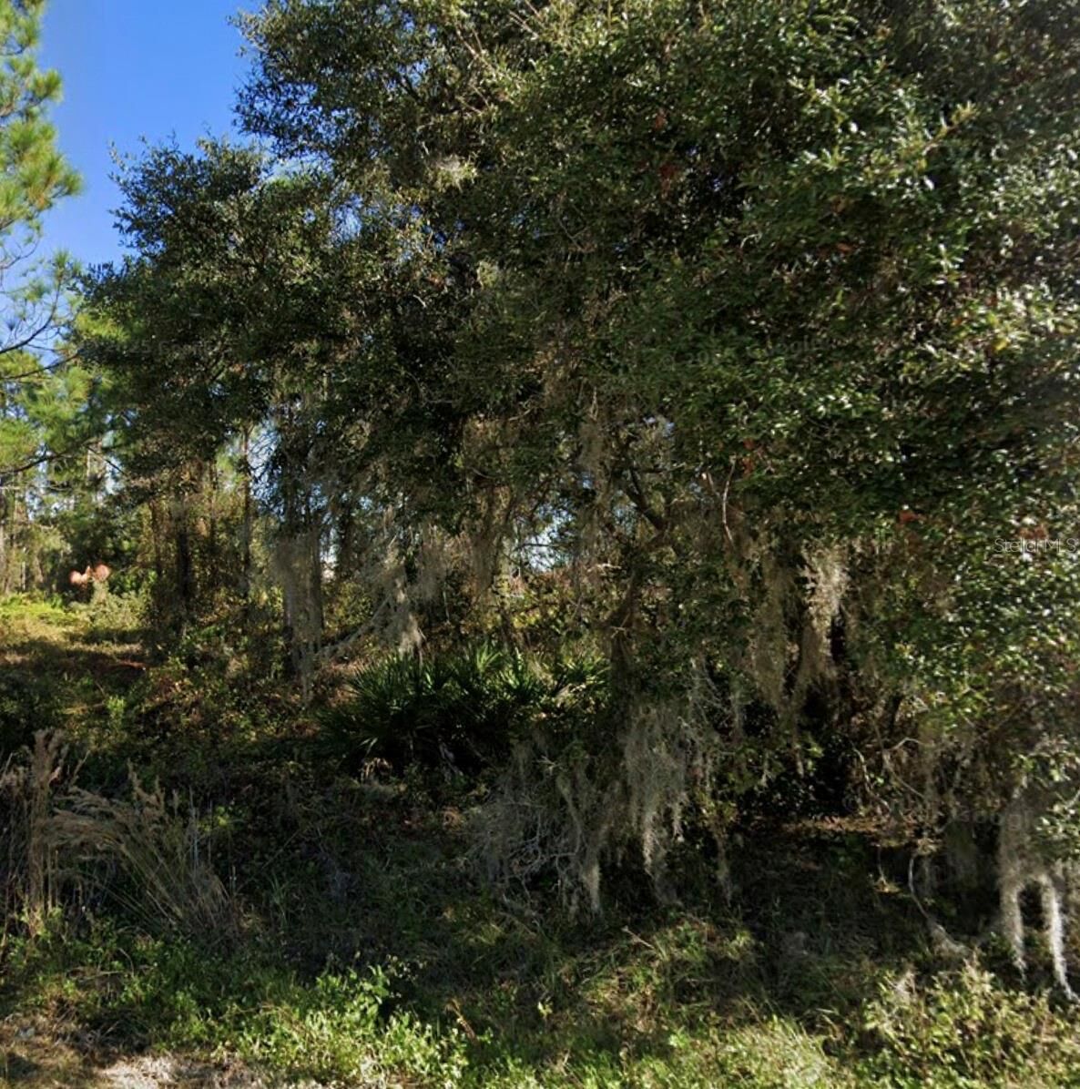Property Photo:  1225 Wahneta Drive  FL 34759 