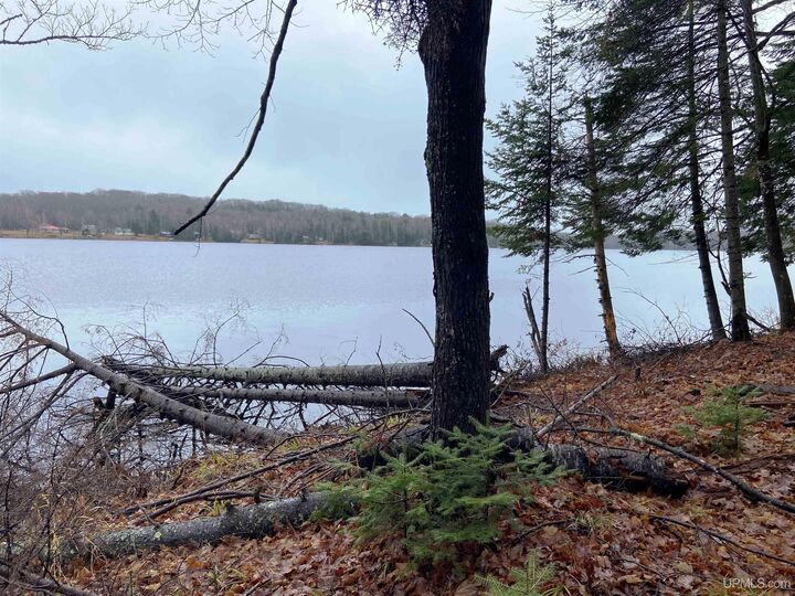Property Photo:  Tbd W Tamarack Lake Road  MI 49969 