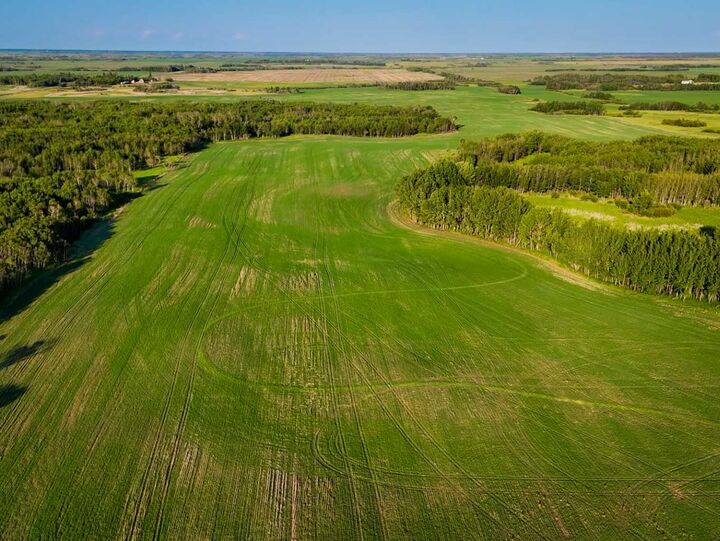 NW 4-43-4-W4  Rural Camrose County AB T0B 1H0 photo