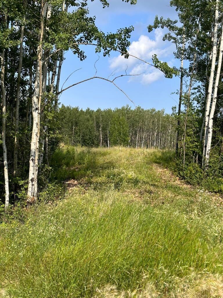 Property Photo: 67417 McGrane Road 123 AB T0A 2C2