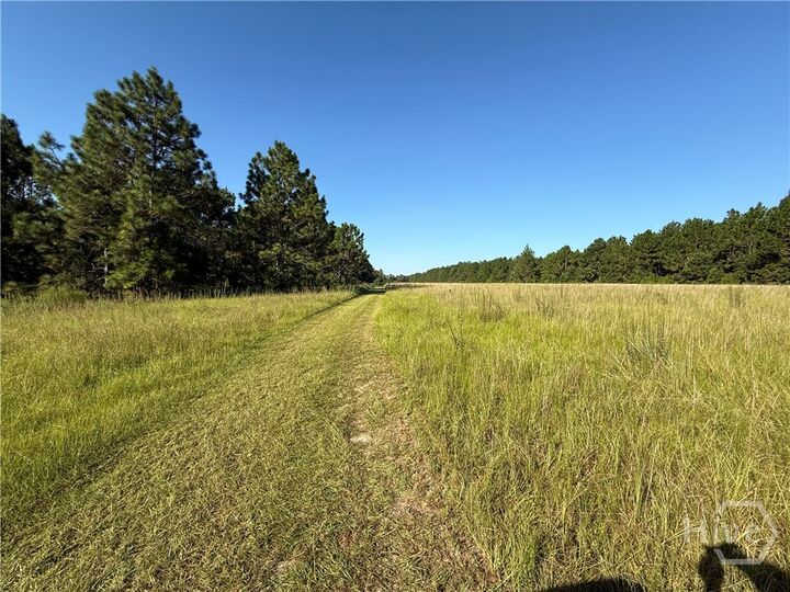 Property Photo:  0 Sunbury Road Tract 4  GA 30417 