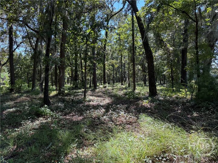 Property Photo:  0 Sunbury Road Tract 6  GA 30417 