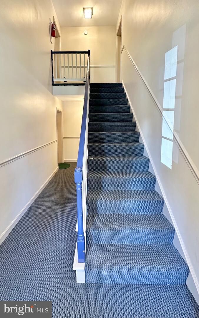 Property Photo:  3345 S Stafford Street B1  VA 22206 