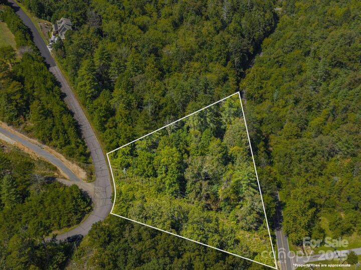 0000 Highland Creek Drive 31  Marshall NC 28753 photo